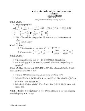 Đề khảo sát chất lượng học sinh giỏi môn Toán Lớp 6 - Năm học 2018-2019